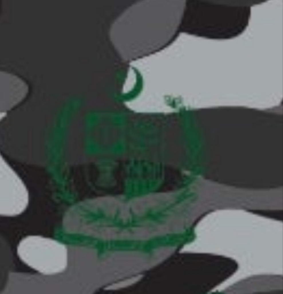Pakistan Camo Fight Shirt