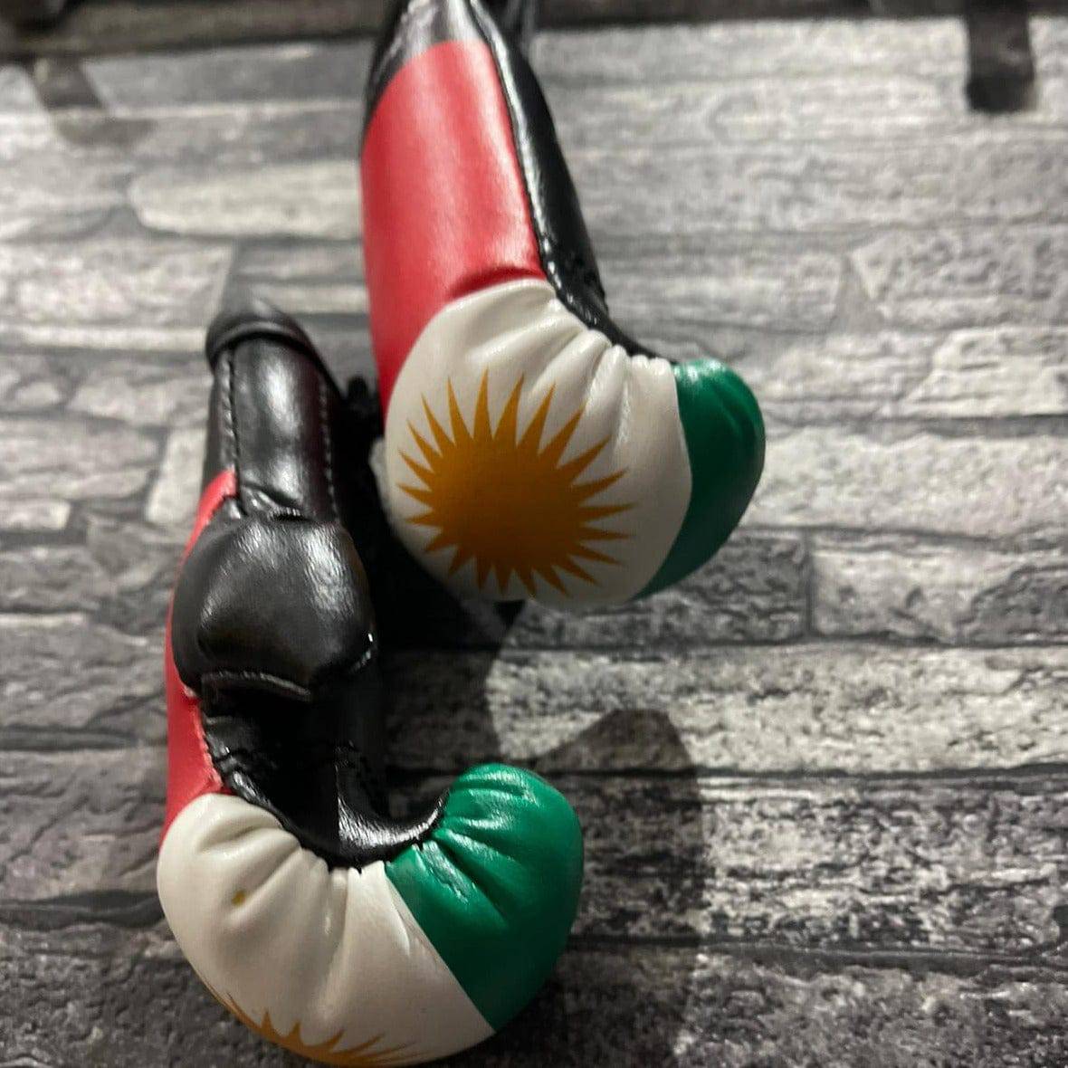 Mini bokshandschoenen Kurdistan