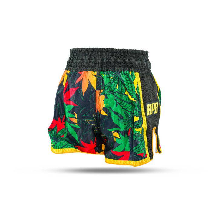 King kick boks broek