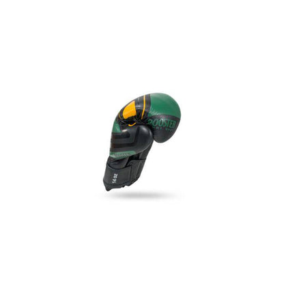 Booster V10 Bokshandschoenen Zwart/Groen 